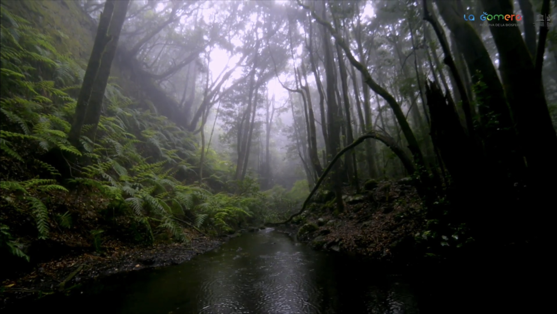 Imagen de  La Gomera cumple 10 años como Reserva de la Biosfera y será sede del Comité Español del programa MaB